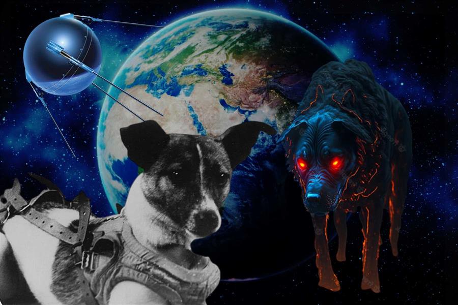 The First Dog Laika in Space