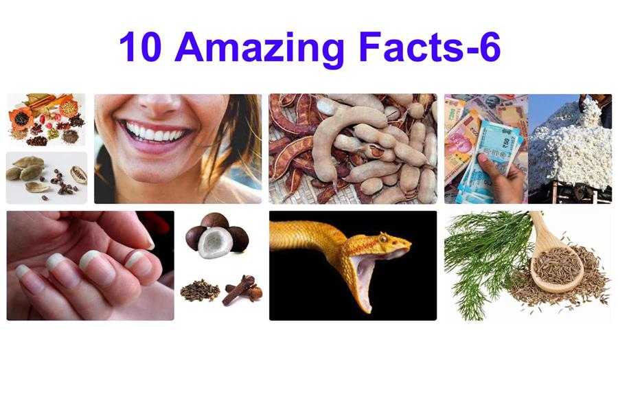 10 Amazing Facts - 6